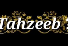 tehzeeb meaning in urdu recifest