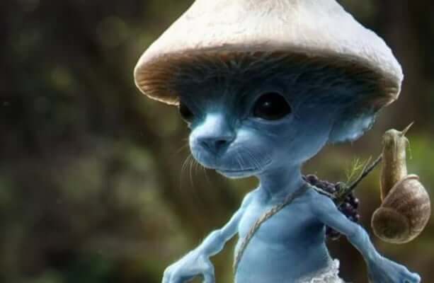 Smurf Cat